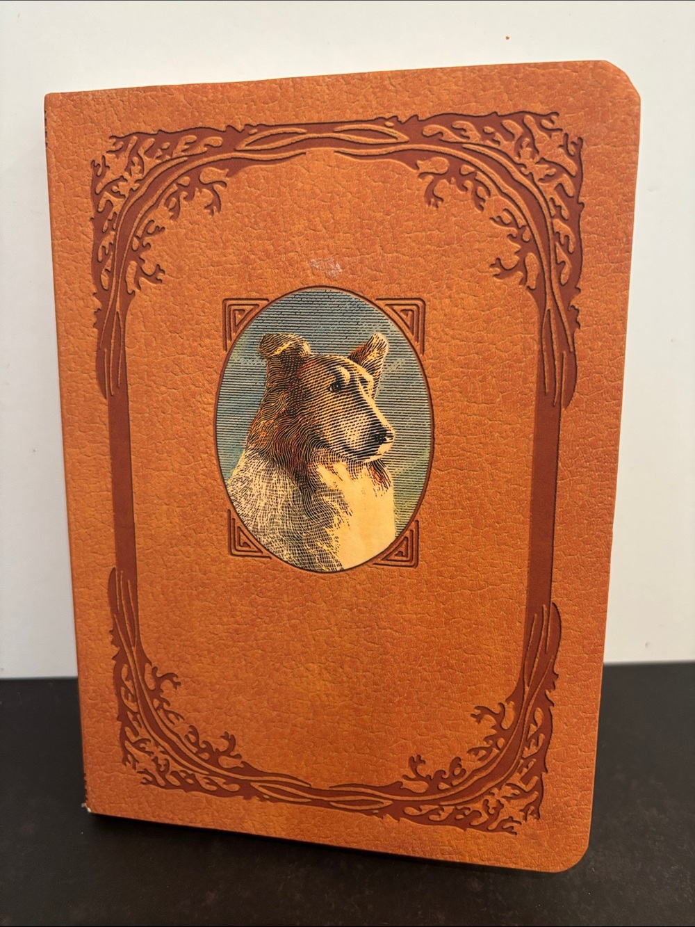Lassie Come-Home by Eric Knight - 2020 Barnes & Noble Flexibound Edition